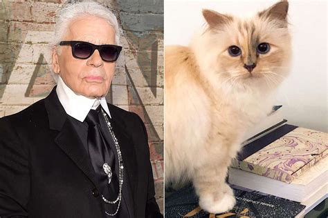 lagerfeld cat dies.